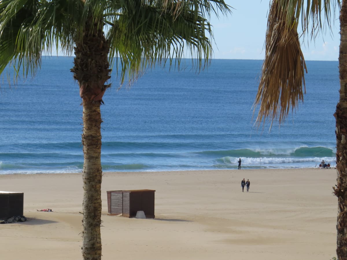 Image of the beach and the sea where you can see some palms and surfers.
