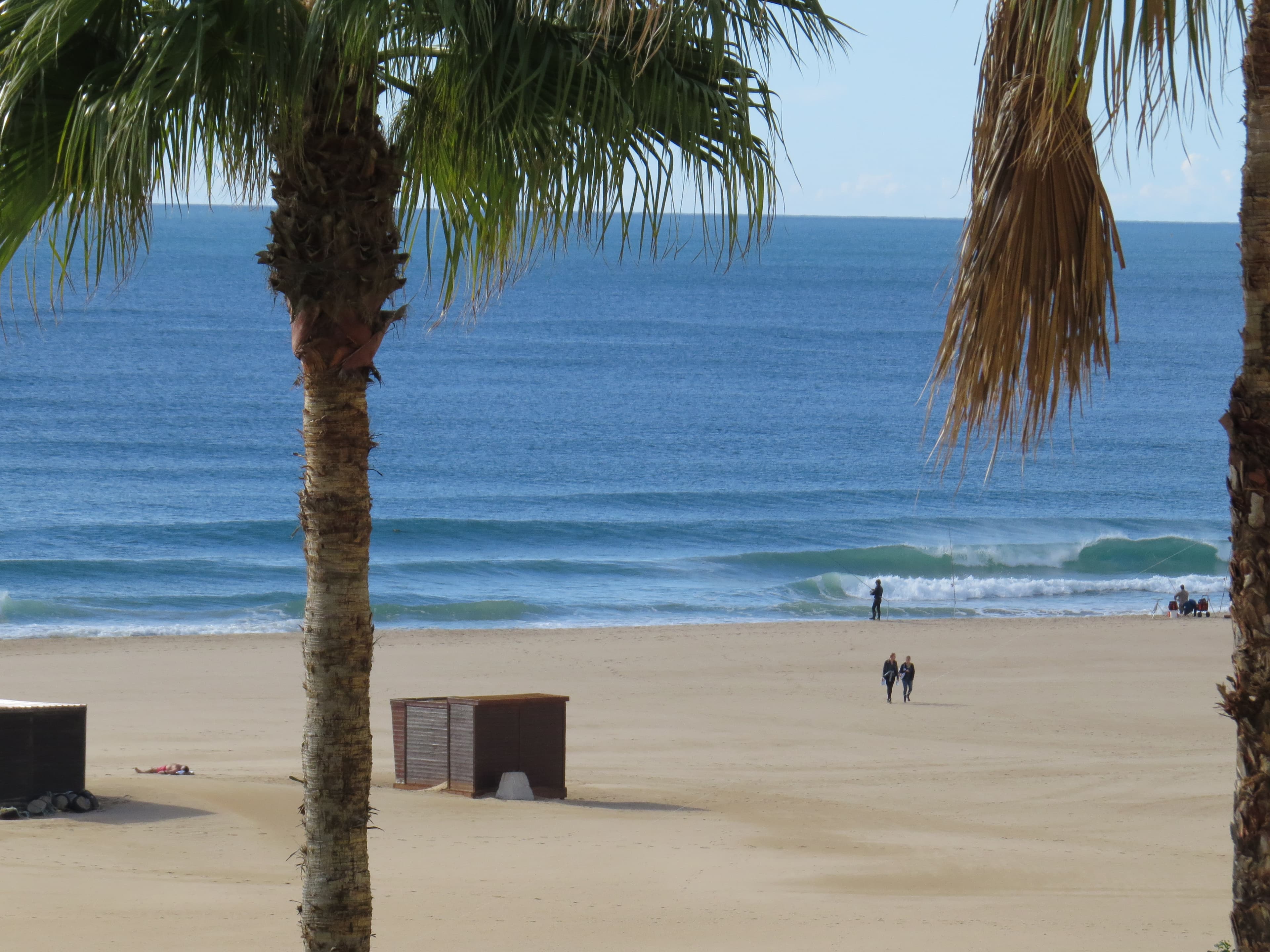 People walking on the beach, palm trees in the foreground